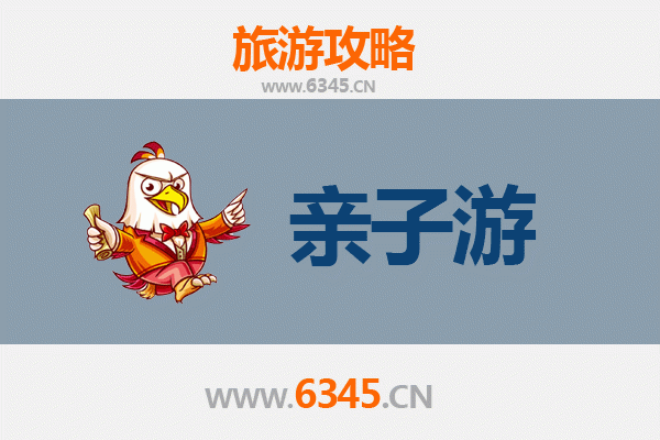 西安碑林亲子游攻略：带孩子穿越千年的文化之旅