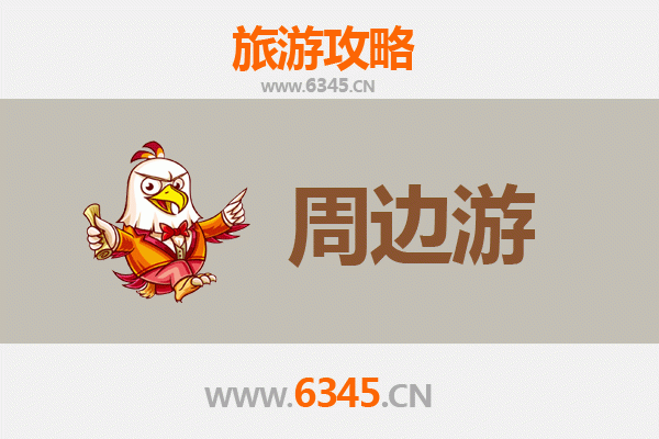 西安碑林文化深度游：穿越千年石刻艺术，探寻古城历史脉络