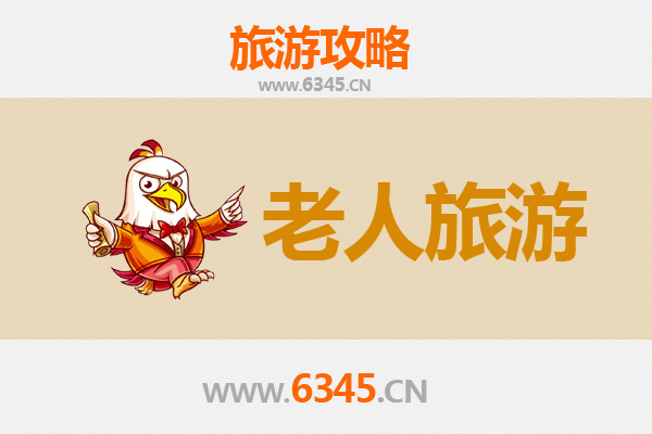 西安碑林博物馆：长者文化之旅，悠闲漫步历史长廊
